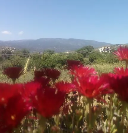 Troodos View *
